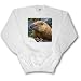 Wild animals - Groundhog - Sweatshirts