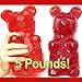 Giant Gummy Bear approx 5 Pounds - Cherry Flavored Giant Gummy Bear