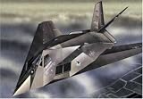 Diecast Model Lockheed F-117 Stealth (37th Tactical Fighter Wing) (1:48 scale)