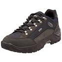 Lowa Men's Renegade GTX Lo Hiking Boot