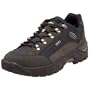 Lowa Men's Renegade GTX Lo Hiking Shoe