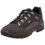Lowa Men's Renegade GTX Lo Hiking Shoe