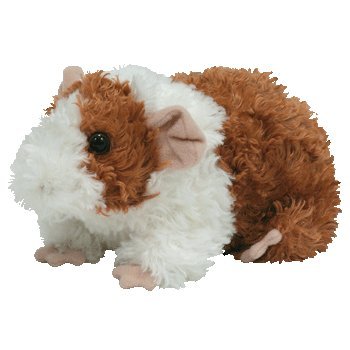 Childrens Toyshop  Toys : TY~REESE THE GUINEA PIG BEANIE BABY