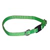 Sandia Pet Products Neon Green Cat Safety Collar - Adjustable 8 to 12 inch