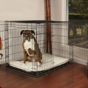 Petco Premium 2-Door Dog Crate