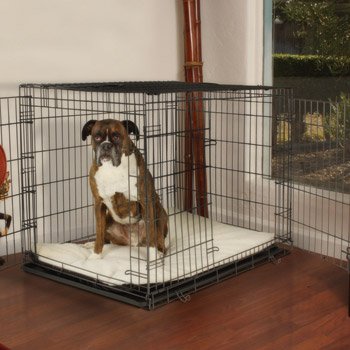 PETCO Premium 2-Door Dog Crate