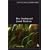 Ben: Sonship and Jewish Mysticism (The Kogod Library of Judaic Studies)