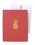 Boston International Metropolitan Museum Of Art Boxed Correspondence Cards Pineapple