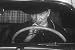 Reckless Driving Scare Video: Driven to Kill (1950s) Narrated by Lowell Thomas