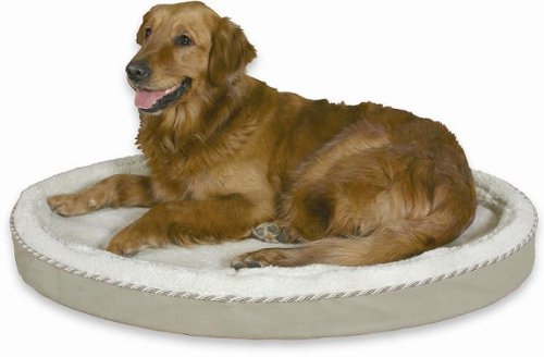 Childrens Toyshop  Sporting Goods : Gel Pedic Orthopedic Repel-a-Flea 40