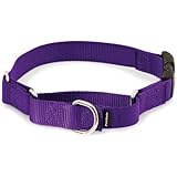 PetSafe Martingale Collar with Quick Snap Buckle, 3/4" Small, Deep Purple