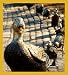 Make Way for the Ducklings Bookmark