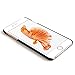 iPhone 6S Plus Case,iPhone 6 Plus Case,CASELAND Flip Wallet Case [Premium PU Leather][Stand][Card Slots] with Detachable Case for Apple iPhone 6S Plus and iPhone 6 Plus - 5.5,Brown