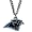 Carolina Panthers