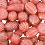 Indian Glass Bead Mix - Frosted Finish - Garnet : Pack of 100g