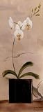 Asian Orchid II MUSEUM WRAP CANVAS Print With Added Heavy BRUSHSTROKES Jennifer Matla 8x20