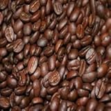 New - Fresh Bolivian Organic Coffee 1 lb by Good Dog Coffee