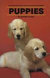 Puppies