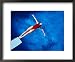 Aerial of Woman Diving from a Diving Board Framed Art Poster Print by Rick Raymond, 22x18