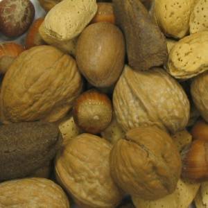 In Shell Grand Royale Mixed Nuts - 25 lb.