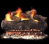 Gas Logs