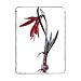 Jacobean Lily, c.1985 (w/c on paper) by.. - iPad Cover (Protective Sleeve) - Art247 - IPads 1 And 2
