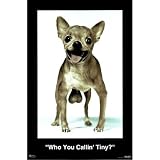 (24x36) WHO YOU CALLIN' TINY Funny Dog Chihuahua Poster