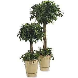 Potted Topiary - 5'H - Frontgate