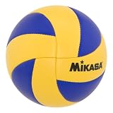 Mikasa Mini FIVB Volleyball