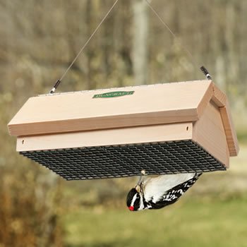 Duncraft Double Upside Down Suet Feeder