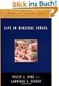 Life in Biblical Israel (Library of Ancient Israel)