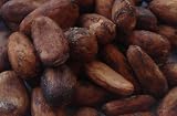 Raw and organic whole cacao beans 500g