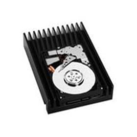 Western Digital VelociRaptor 300 GB Bulk/OEM Hard Drive 2.5 Inch, 16 MB Cache, 10,000 RPM SATA II WD3000GLFS
