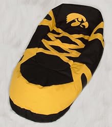 Iowa Comfy Beanbag Chair