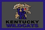 Kentucky Wildcats 4 x 6 Area Rug