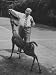 Store Executive Sebastian S. Kresge Feeding a Deer on His 90th Birthday Photographic ...