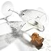 Kitchen & Housewares : Pinzon Rumba Champagne Glass, Set of 6