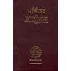 Punjabi Bible-FL-Easy to Read (Punjabi Edition)