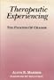 Therapeutic Experiencing: The Process of Change (A Norton professional book)