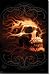 Tom Wood Art Poster Flaming Skull 22X34 Gothic 6486