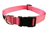 Large Pink Nylon Webbing Dog Collar: 1" wide, Adjusts 18-28".