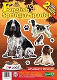 from Classic Sign & Design English Springer Spaniel - Dog Stickers Twin pack, Self Adhesive Sticker Kit