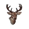 HIRSCH REH WALDTIER REHE JAGD AUFN�HER B�GELBILD APPLIKATION PATCH