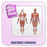 Revue Conitiv - Synchron  / Lexminder Anglais - Anatomie Humaine - Mémorisez Du Vocabulaire Et Des Expressions Pratiques Par Centaines !