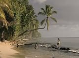 Paradise Drowned: Tuvalu - The Disappearing Nation (institutions)
