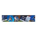Radical Skateboard Wall Border - 6x60"