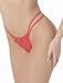 Lily Lace Thong Panty.