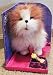 FurReal Friends Lil Patter Pup - Cairn Terrier