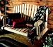 Hanging Cedar Loveseat