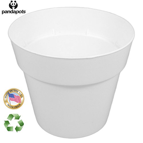 50 plant pots - 3 inch diameter - perfect for succulent…